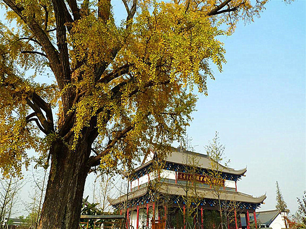 嘉兴东门解锁电话是多少钱：多少钱解锁门电荷